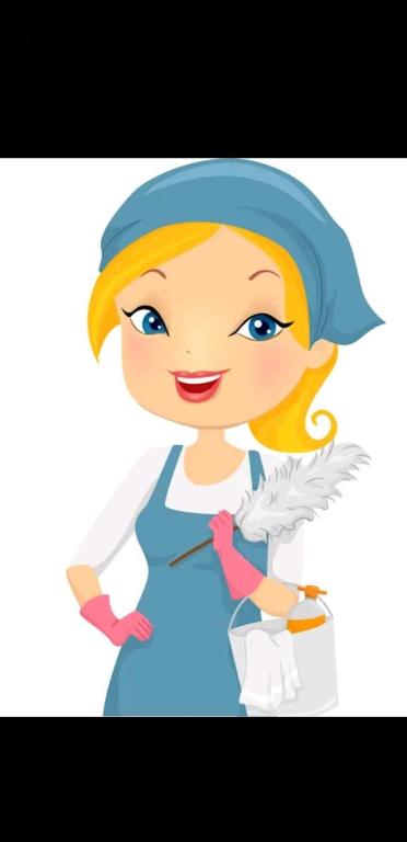 LimpiezaParticular - 2