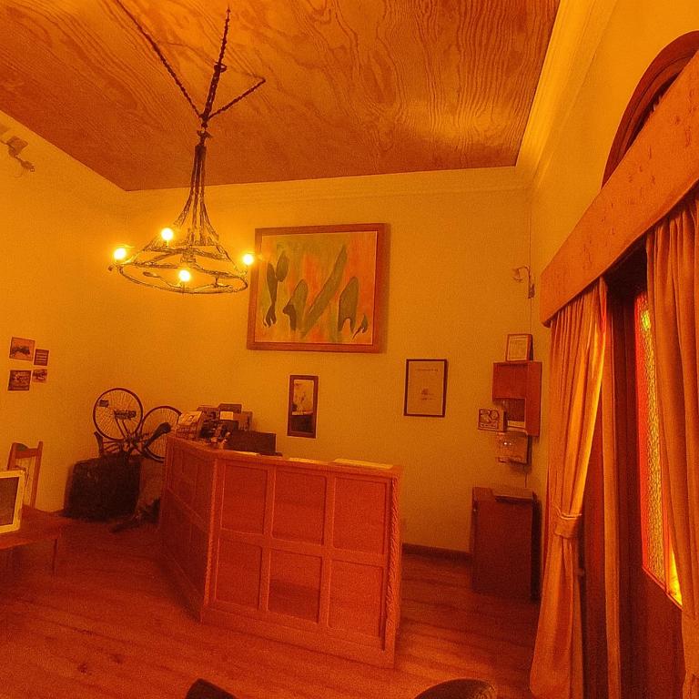 HALLEY Vicuña, Valle de Elqui - 5