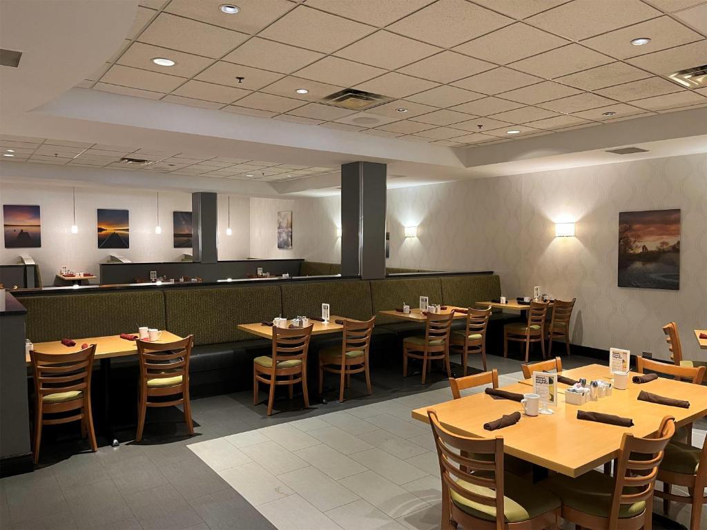 お料理のイメージ