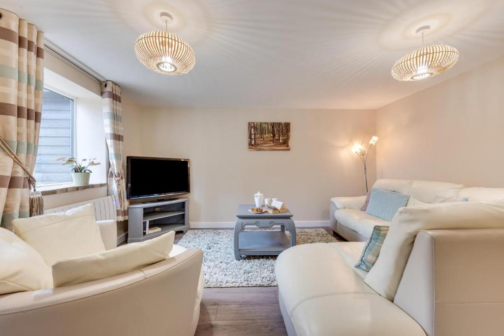 Ardley Cottage Badger, Great Waldingfield