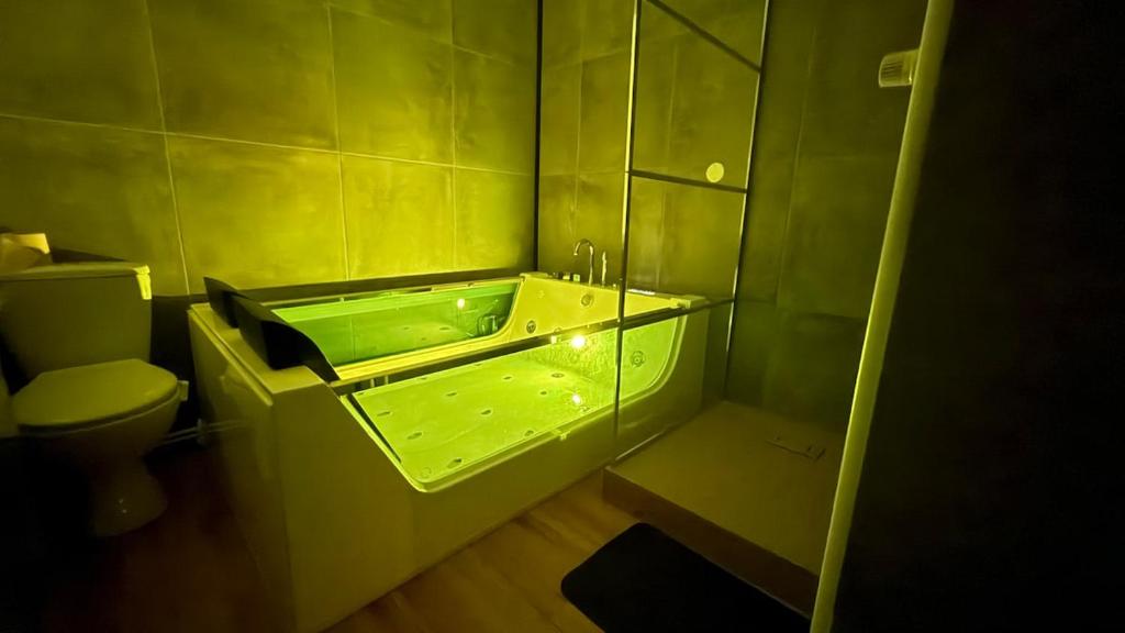 Appartement Chic avec jacuzzi - 5