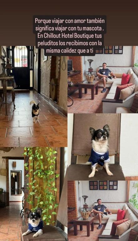 Giron Chill Out Hotel Boutique - 2
