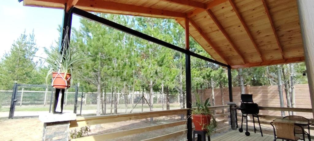 Cabaña Pinos del Mar - 5