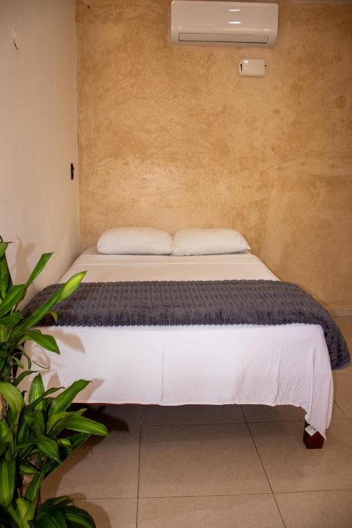 Departamentos Ixchel - 1