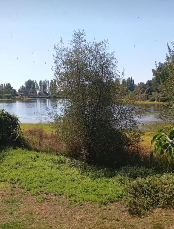 La laguna Parral - 5