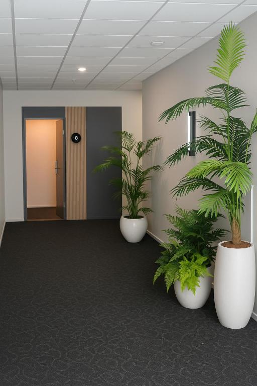 Quest New Plymouth