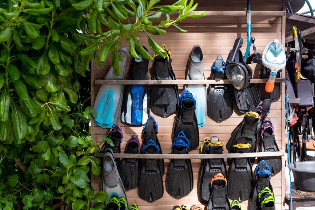 Sports and activities