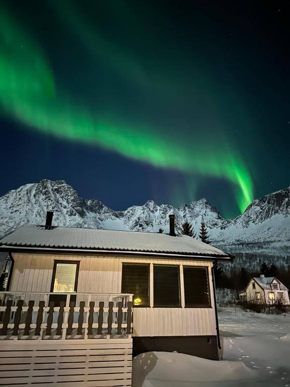 Just a Simple House, Senjahopen