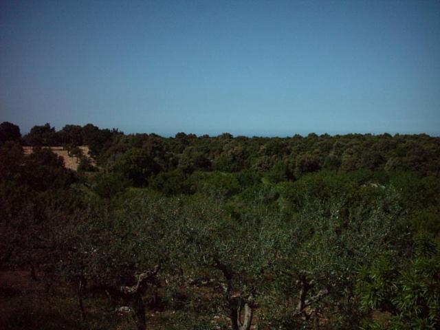Trullocarluccio - 3