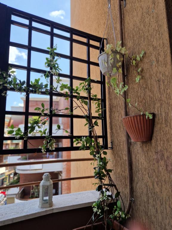 Il Sogno Romano - 5