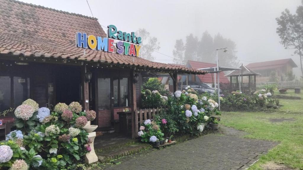 Rante Homestay & Cafe, Biau
