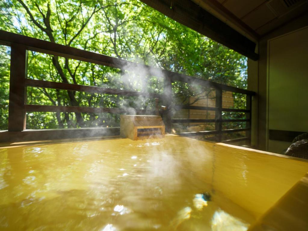 Hot spring bath