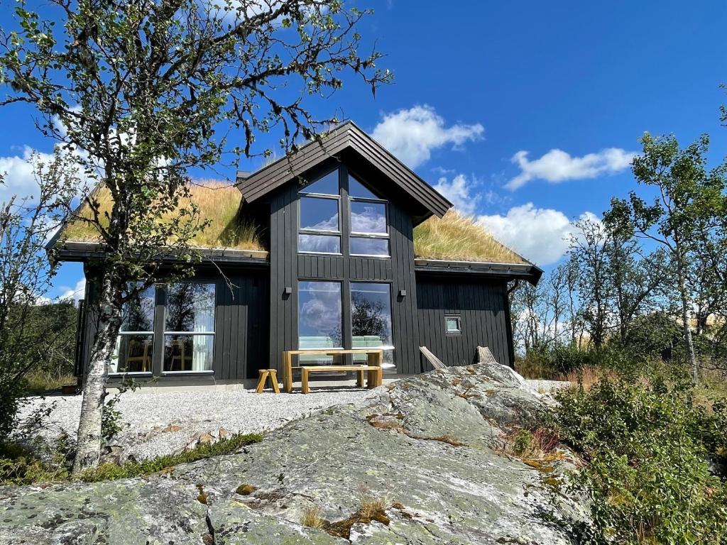 Bjørkebo in Ål - cabin in hiking and skiing area, Al
