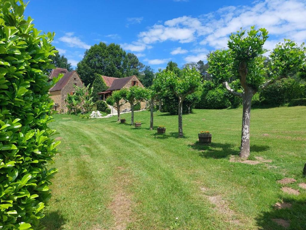 Les Platanes à Sarlat - 2