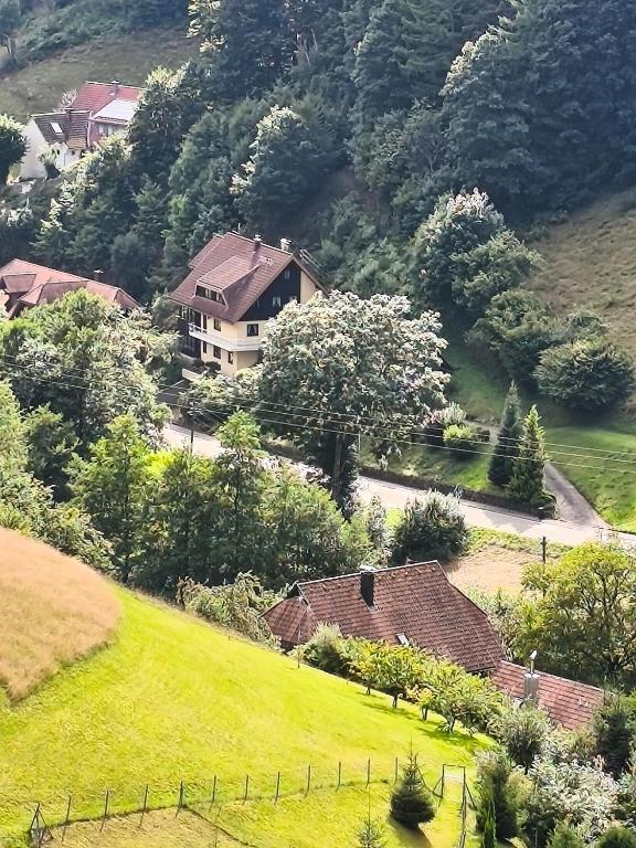 Startingpoint, Bad Rippoldsau