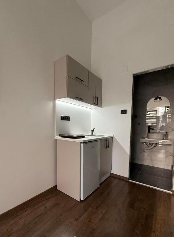 Central Green Apartman Novi Sad - 4