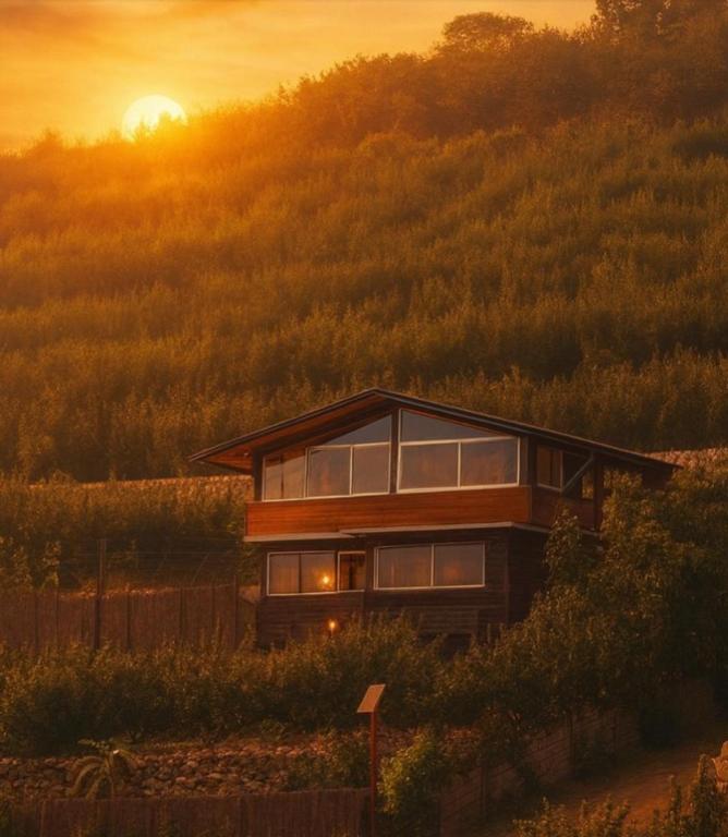 Balance point - shanti Vella, Madždal Šams