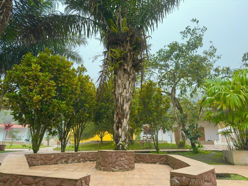 Beautiful Family Farm in Pacoche - 5