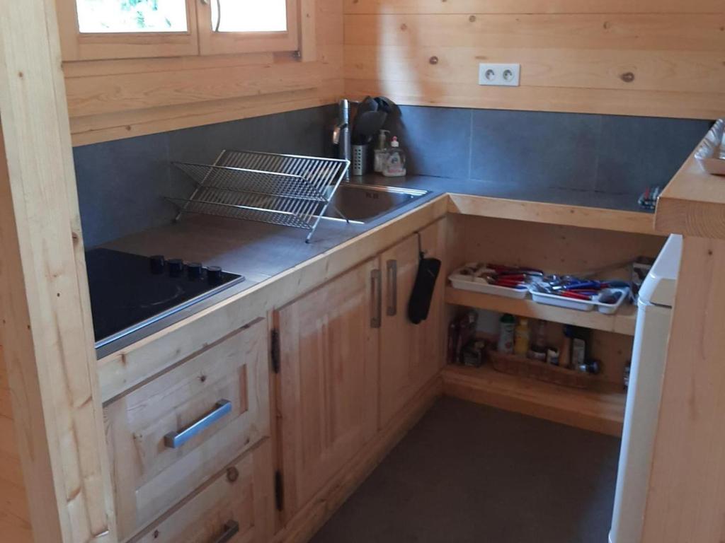 Chalet spacieux avec grand parc à Lans-en-Vercors - FR-1-515-15 - 2