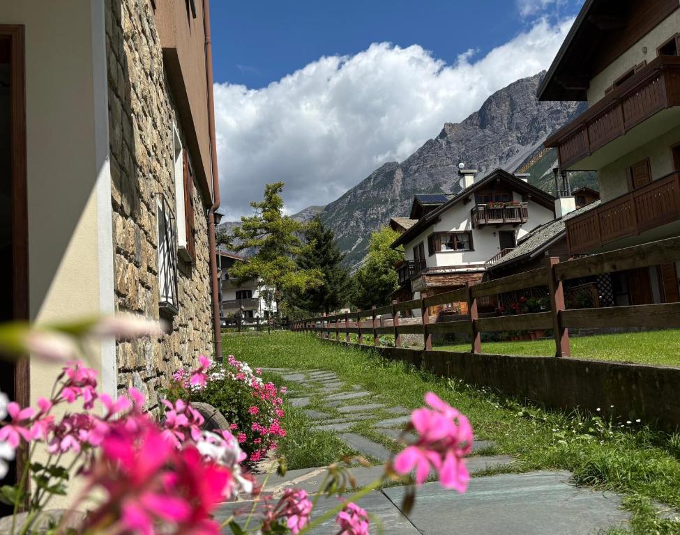 Appartamento Nigritella - 2BR - piano terra rialzato - centrale, a 650mt da Bormio Terme - parking - 3