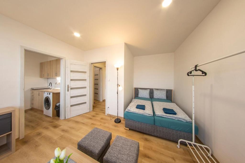 Útulný apartmán na ulici Přemyslovců, Mariánské Hory