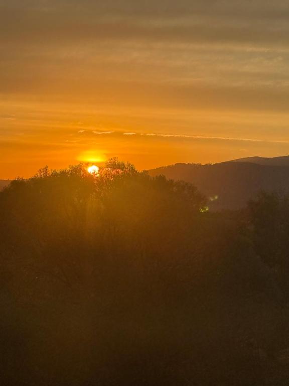 SkyChatka Zwardon, Zwardoń