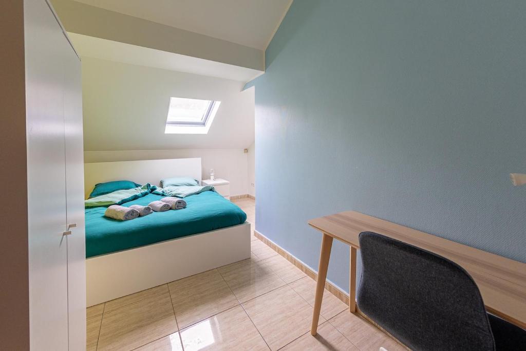 Cosy European Instituts, Lussemburgo