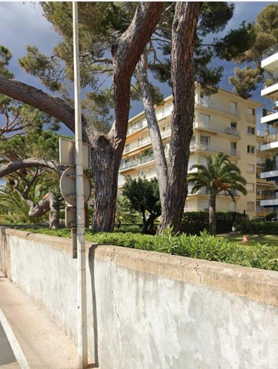 3-room apartment with sea view in Cannes - 4