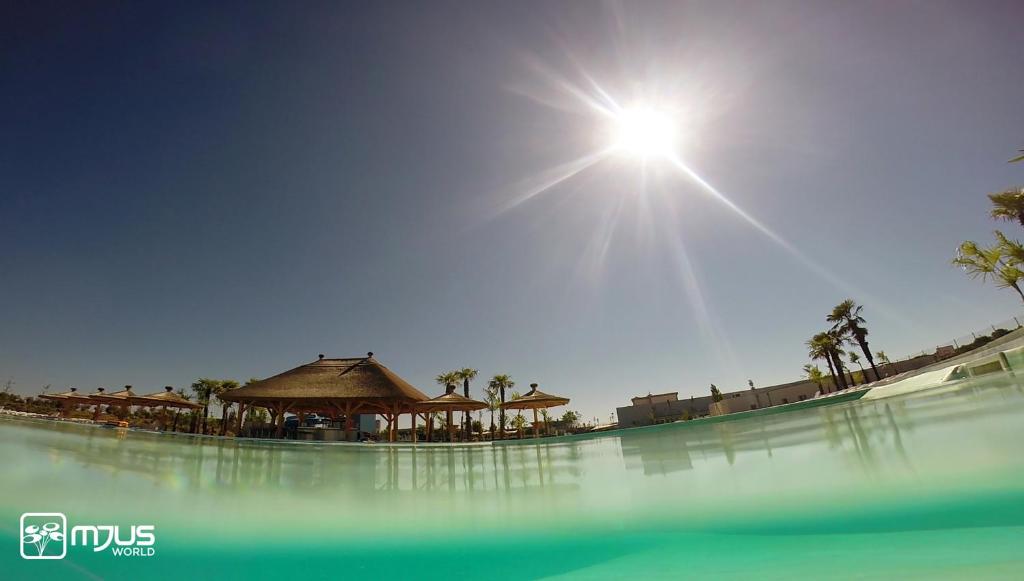 スイミングプール