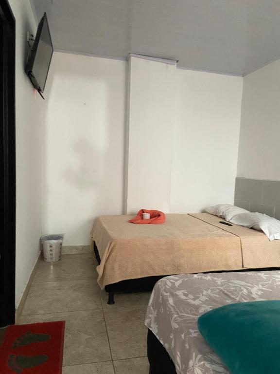 Hotel mi sueño - 2