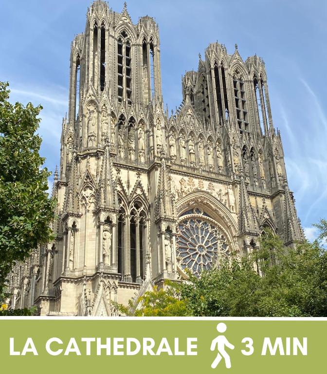 Jungle - Appartement - Cathédrale 4 min - Centre - Reims - 4