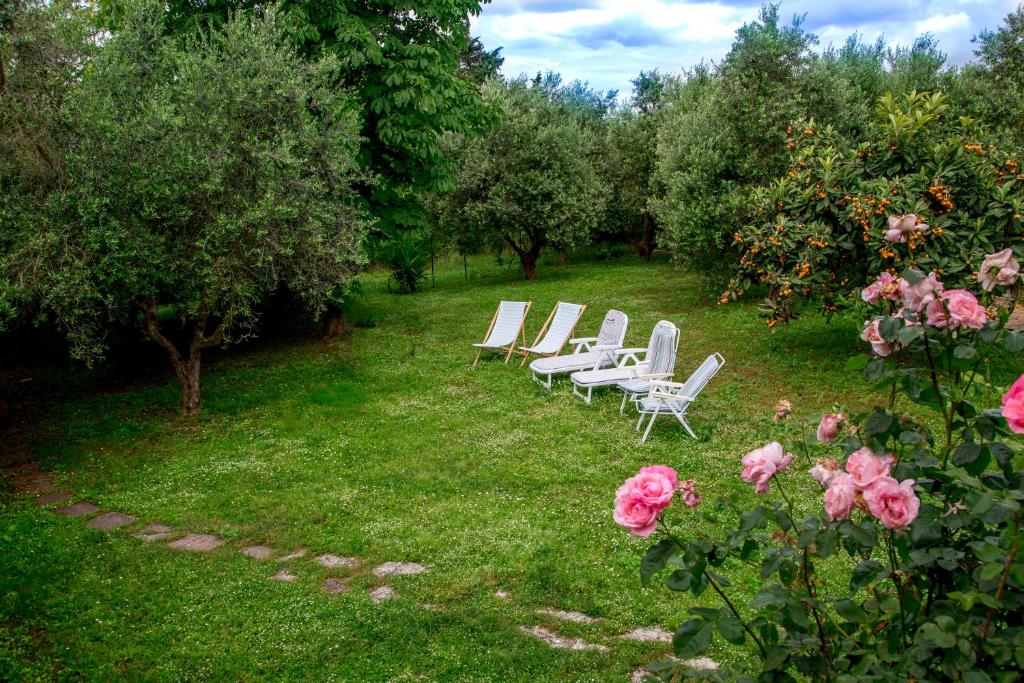 Tra Gli Olivi E La Riviera Del Conero - 5