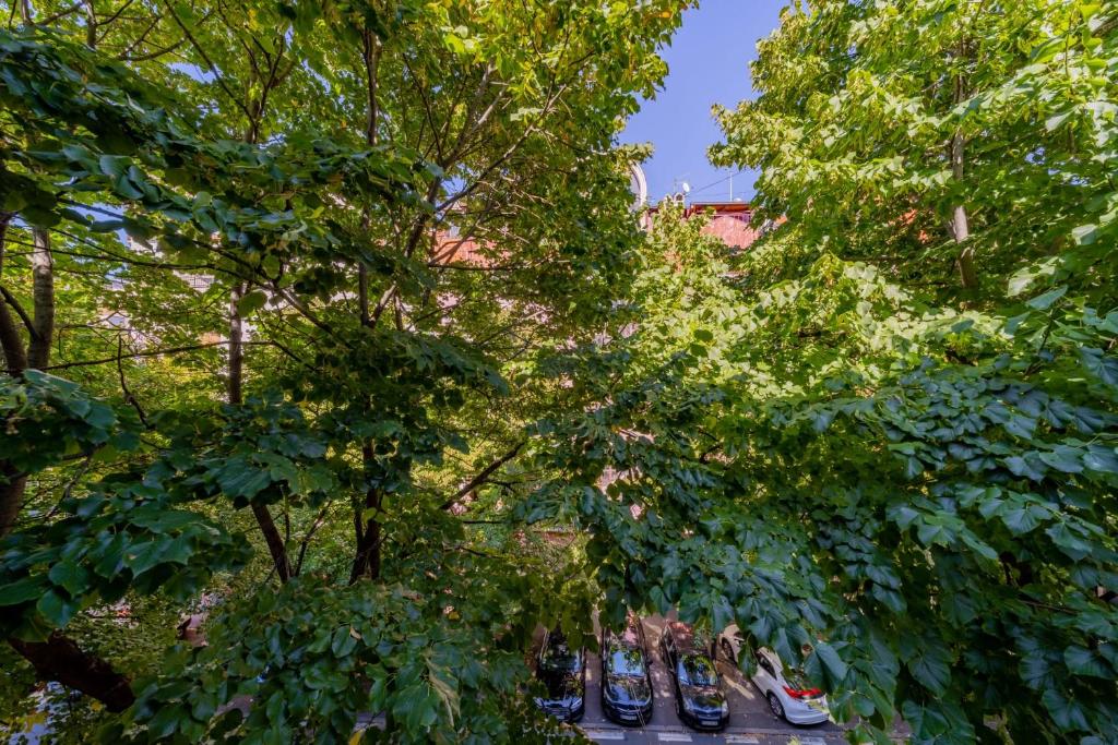 Apartman Igor 1 - 5