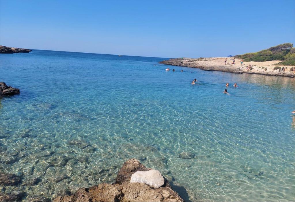 Monolocale Santa Caterina - 4