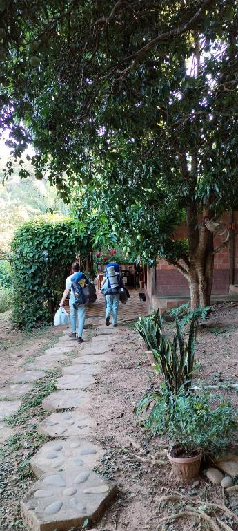 Mirador Jungle El Macuti - 5