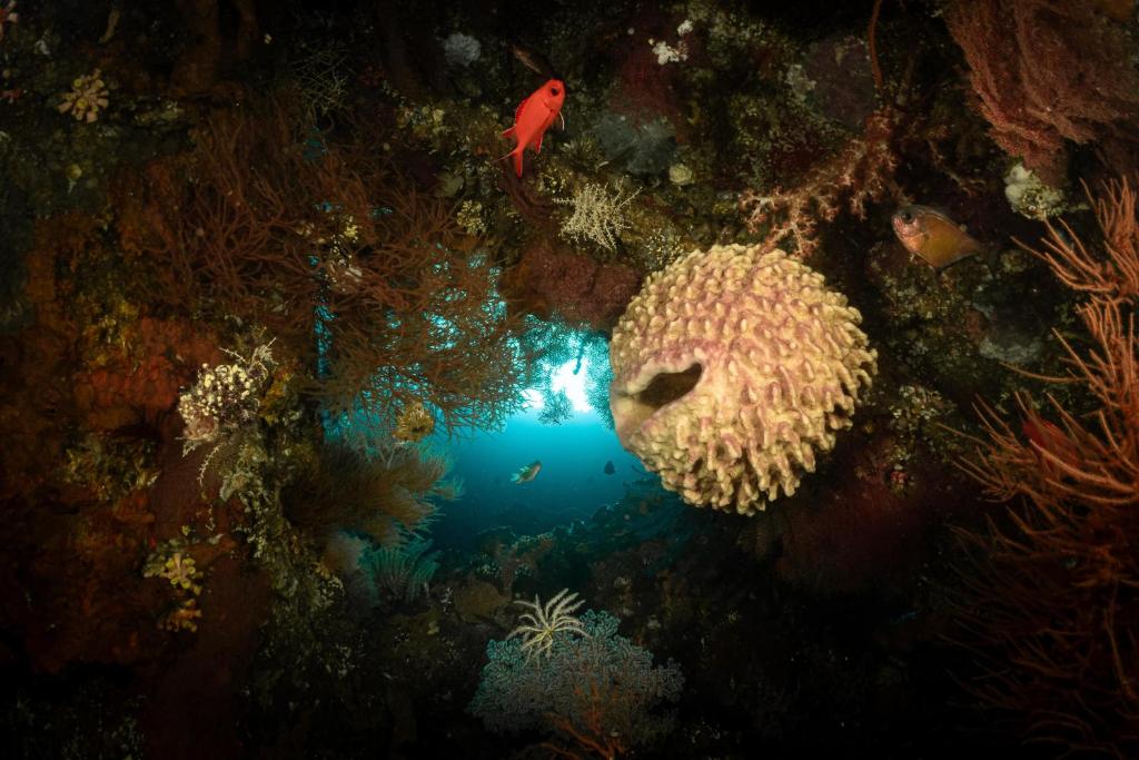 Sports and activities