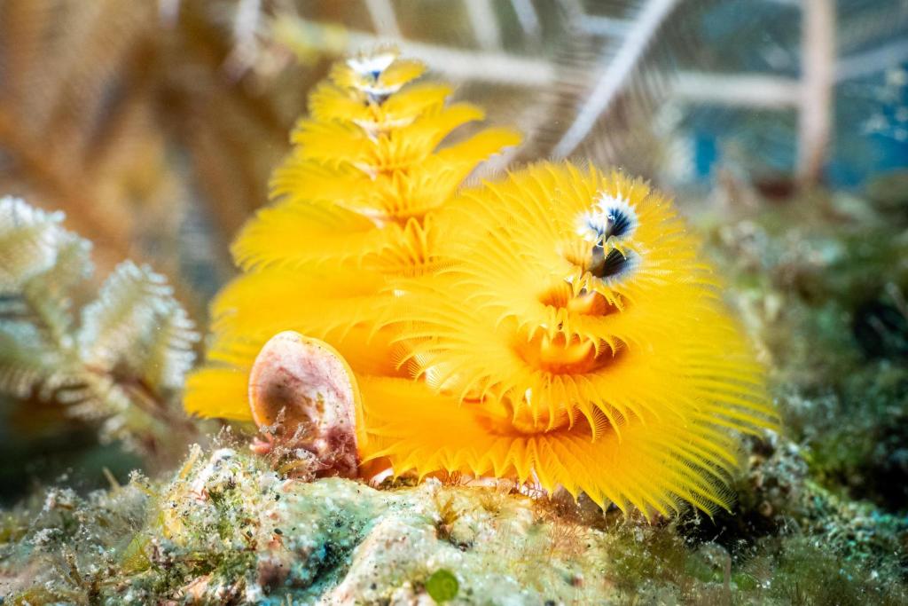 Sports and activities