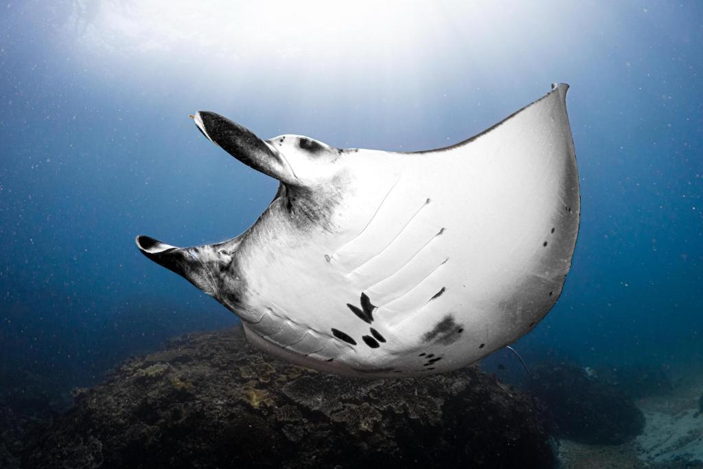 Sports and activities