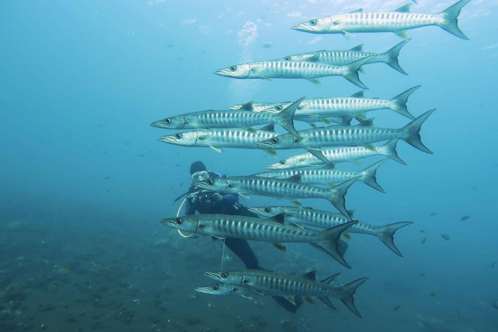 Sports and activities