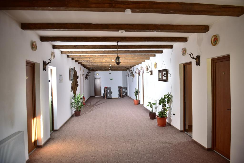 Pensiunea Doli photo