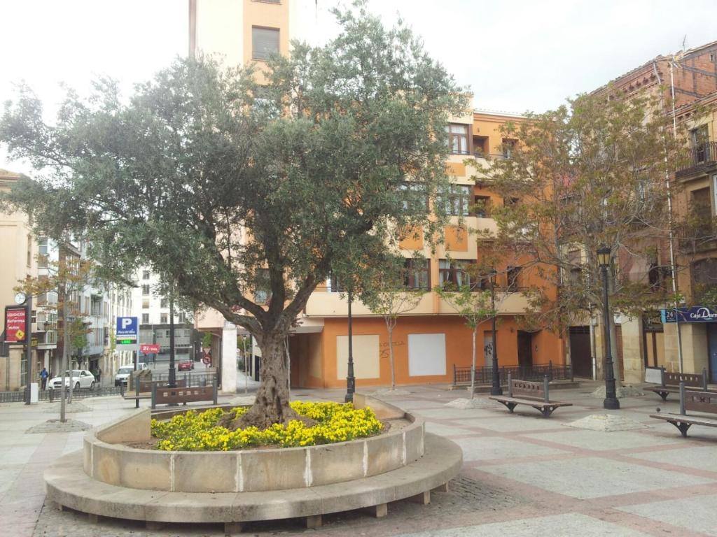 Morendal-Zaaita 전경