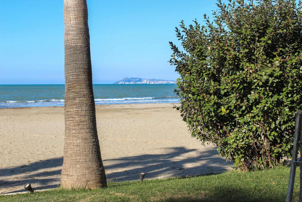 Seaside Serenity, Golem