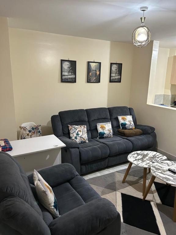 Tulia 1 BR apartment in Kasarani Nairobi with washing machine, lift , wifi, office desk and parking, Nairobi