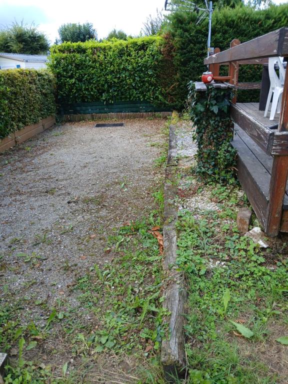 La terrasse du chat - 2