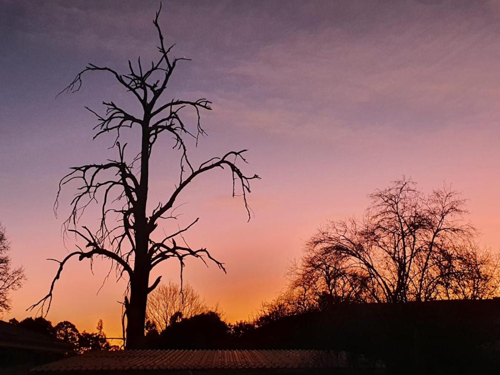 Acorns and Quackers Self Catering, Underberg
