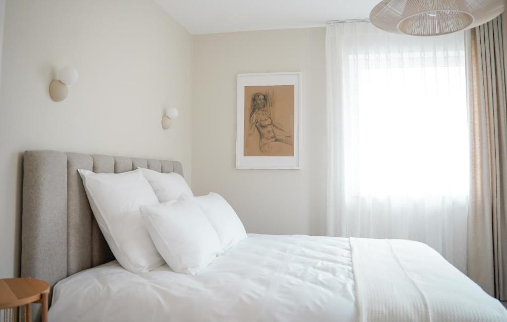 The Elegant Escape, Šiauliai