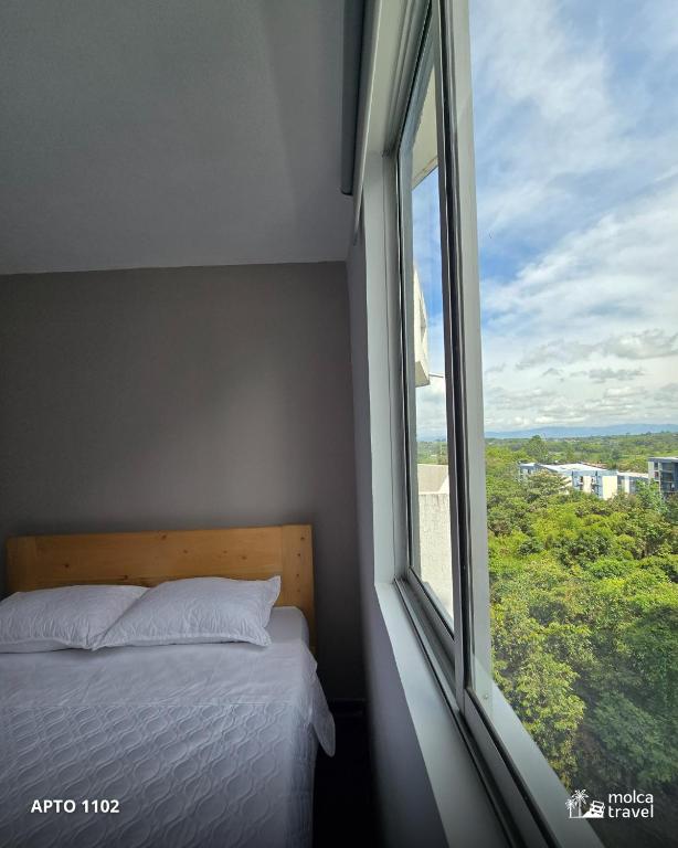 Apartamento en Armenia - Edificio Ambar - Con Piscina - By Molca Travel - 5