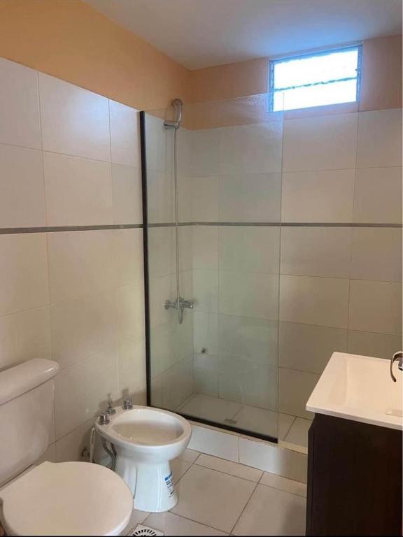 Alquiler temporal - 4