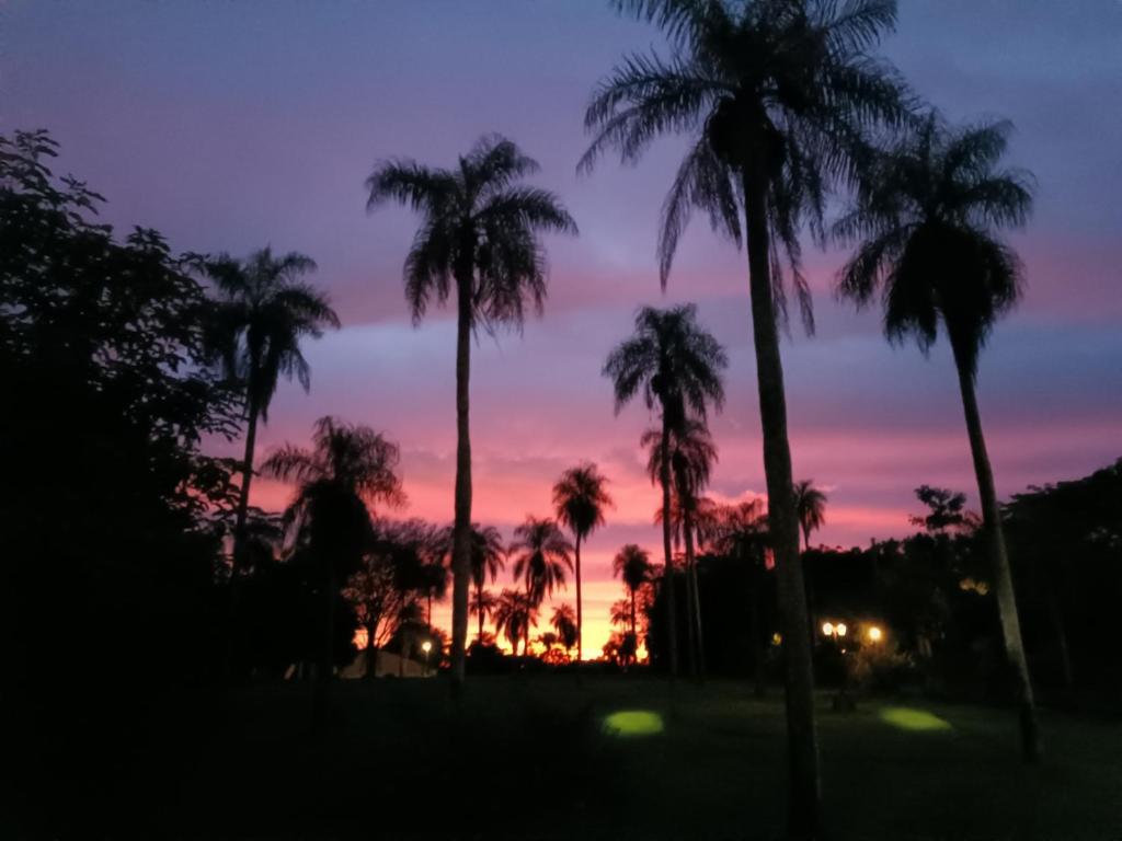 Paradise City Paraguay - 2