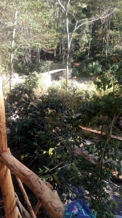 Glamping Machupicchu Lodge - 4